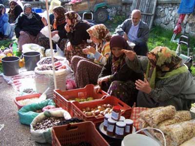 kyl pazar