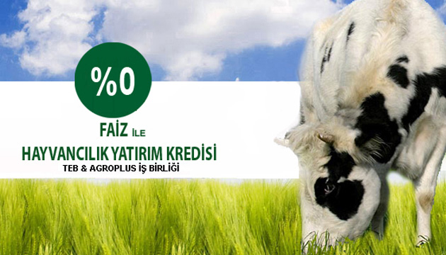 Hayvan yetitiricilerine sfr faizli kredi
