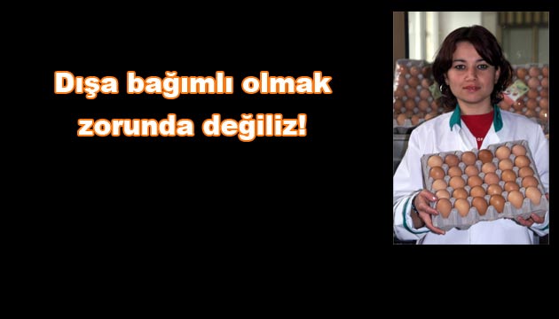 Ondokuz Mays niversitesi,Damzlk Tavuk ve Yumurtada Da Bamll Azaltacaklar