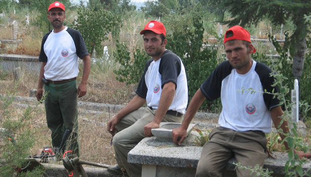 orman iileri