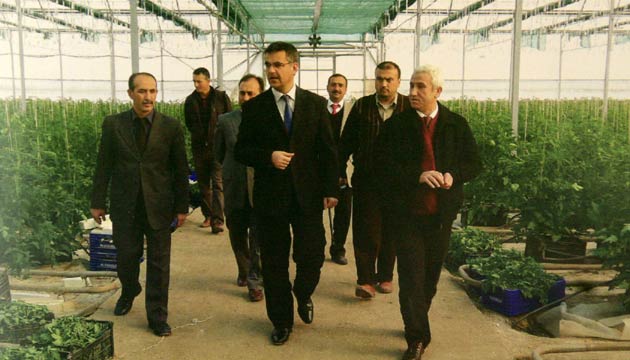Adana