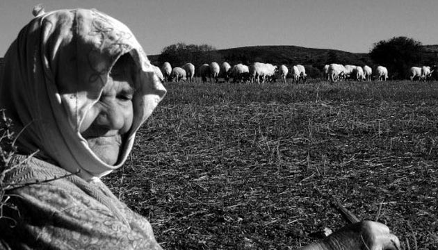 Tarmdaki Kadnlarn Baar ykleri Belgesel Oldu