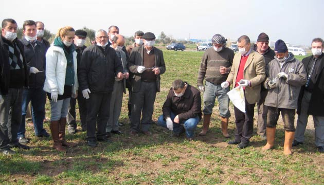 Tarla Faresi Avclar Yetiiyor