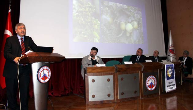 Trabzon da Yresel Meyve Ve Sebzeler Paneli