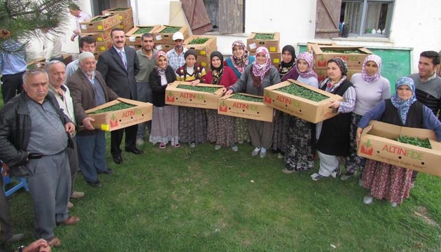 iftilere Sebze Fidesi Datm Yapld