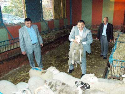 stanbula Tarm ve Hayvanclk Sanayi Sitesi kuruluyor