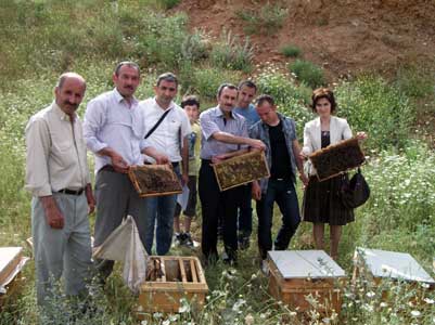 Siirt