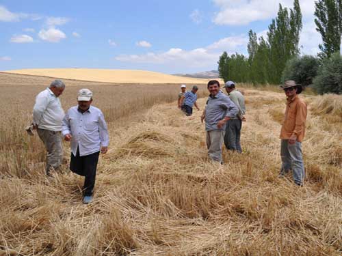 Yozgat Yerky Ziraat Odas Bakan Bahri Ylmaz, Tarm Bakanl tarafndan aklanan buday taban fiyatnn iftiyi tatmin etmediini syledi.