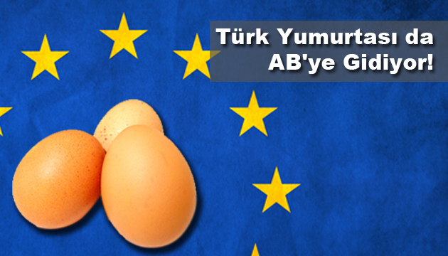 trk yumurtas