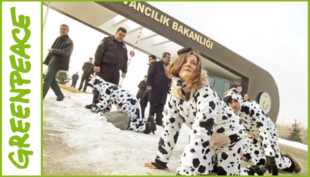 yemezler greenpeace