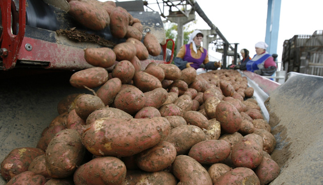 Rusya ile Msr Arasnda Patates Krizi