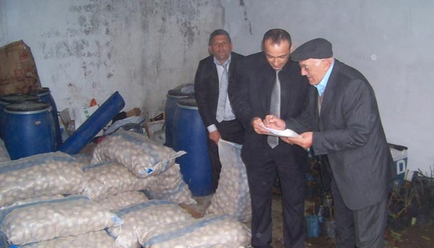 6 lede Patates Datm Yapld
