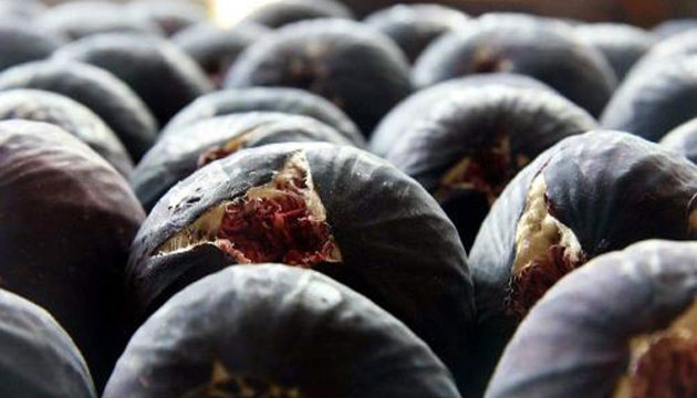 Zeytin reticisine 