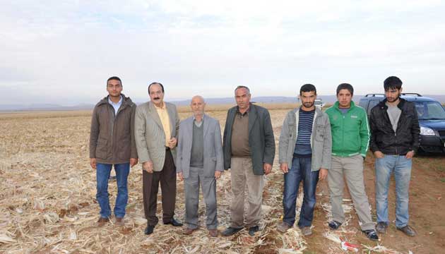 Mardin