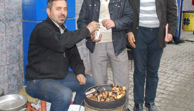 Kestane Satlar Artt