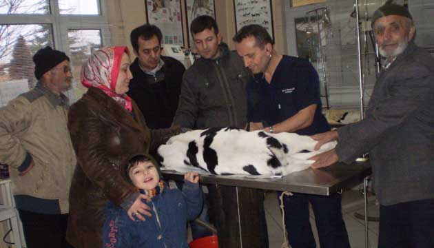 Ameliyat edilen buza, 6 ay 