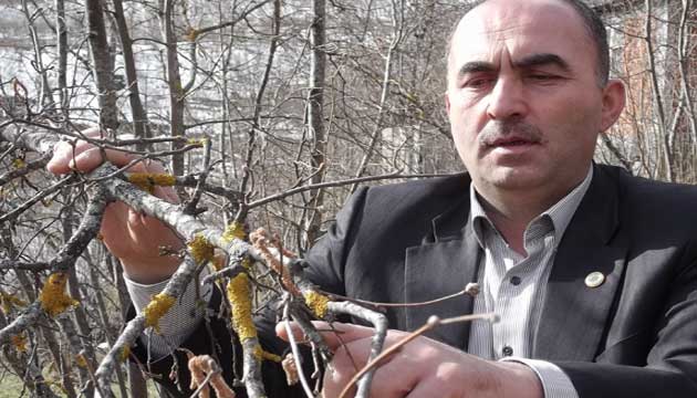 reticilerin hi bir tedirginlik yaamasna gerek yok