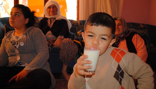 Ailecek st ielim