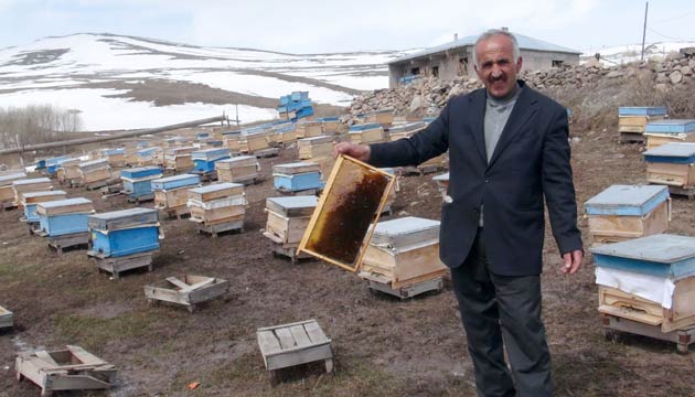 Kafkas Arsnn Gen Merkezi Ardahanda arlar telef oldu