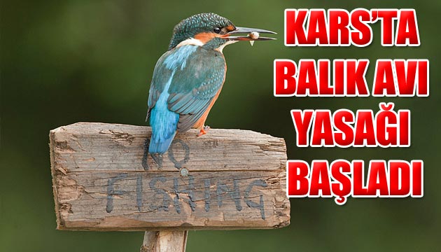 Karsta Balk Av Yasa Balad