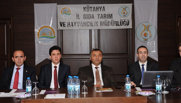tarim 2023