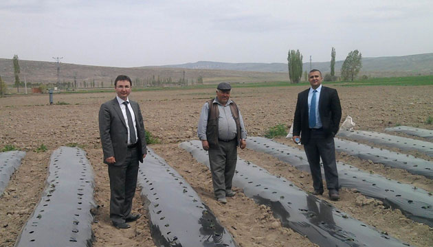 uhutta Yerli ilek almalar