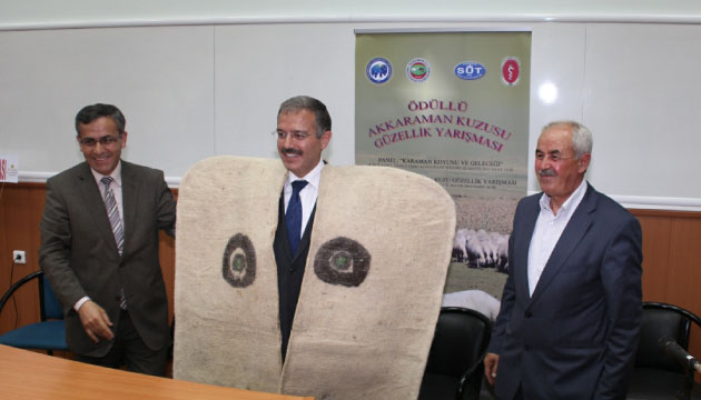 Karaman Koyunu