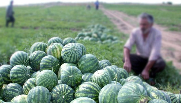 Adana Karpuzunun Hasadna Baland