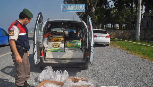 Sazanlar Jandarmaya Takld  
