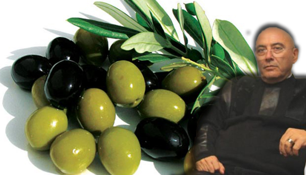 Zeytinde Yeni Ynetmelie ptal Davas