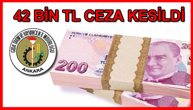 42 Bin TL Ceza Kesildi