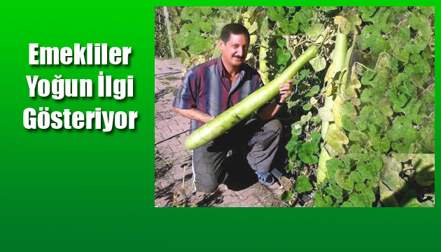 1.5 Metre, Hobi Kaba,