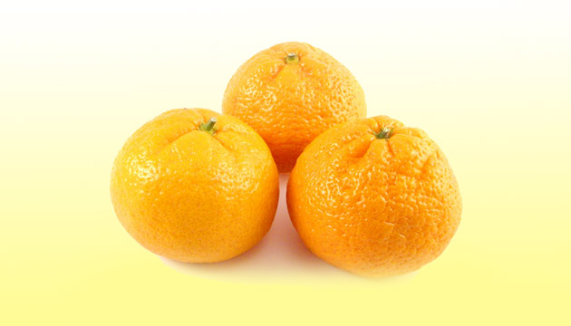 satsuma mandalina