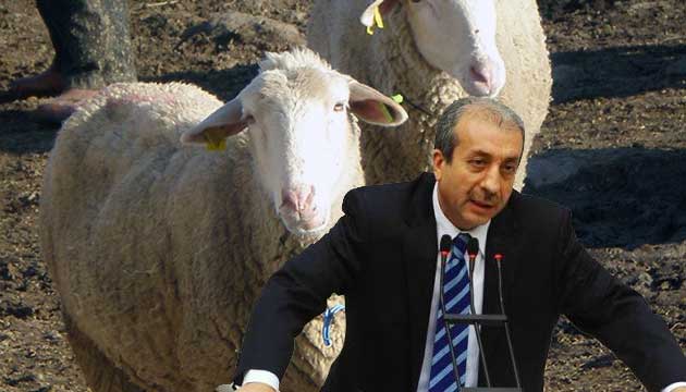 mehdi eker