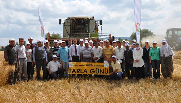 tarla gn