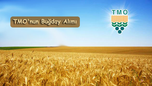 Tmo-Buday-Alm