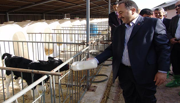 lhami Teke