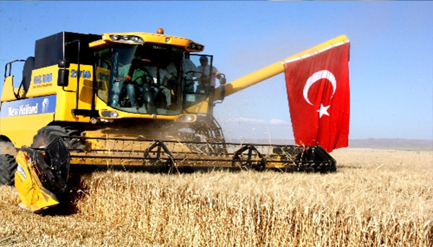 Hasat