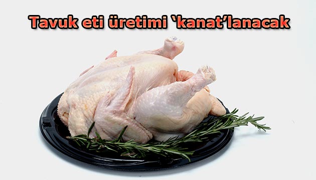 Tavuk-eti