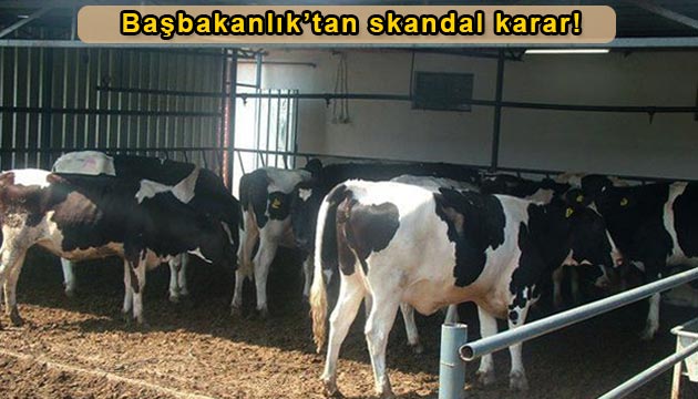 ap as