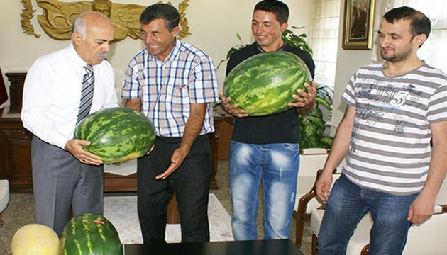 Karpuz