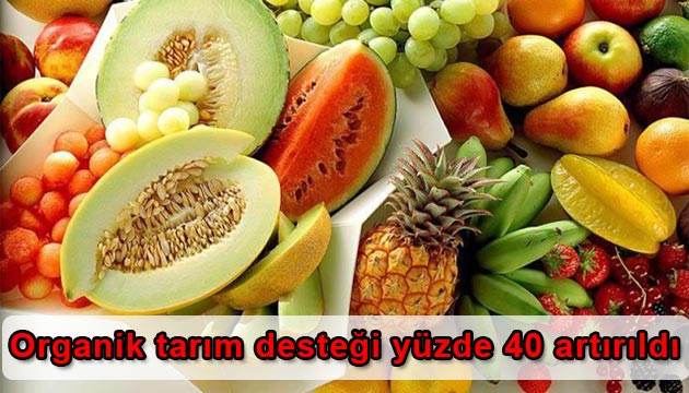 Organik tarm Destei
