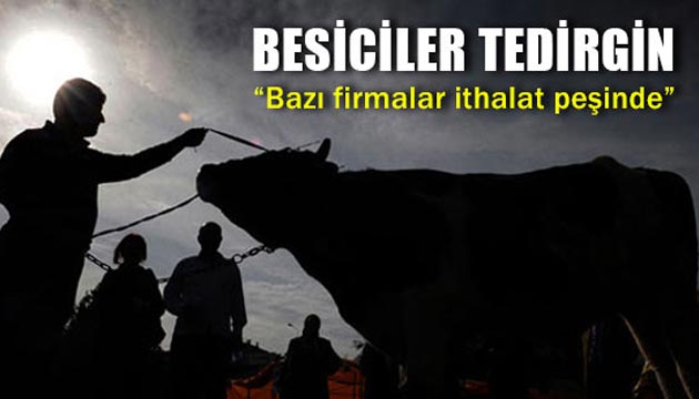 Besiciler tedirgin