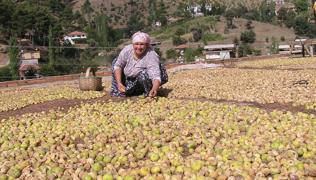 Barajn Neden Olduu Nem ncir Kalitesini Drd