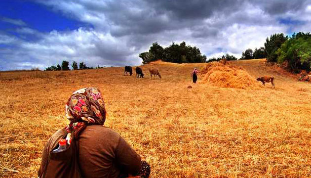 tarm ve hayvanclk, kadn, ii, tarm