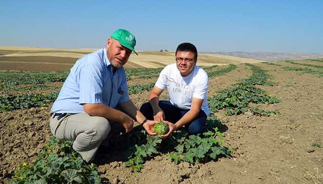 Kavun reticileri zararl ve hastalklara kar uyarld