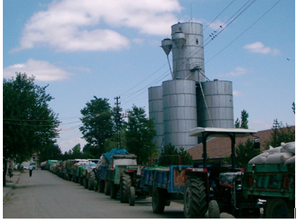 tmo silo