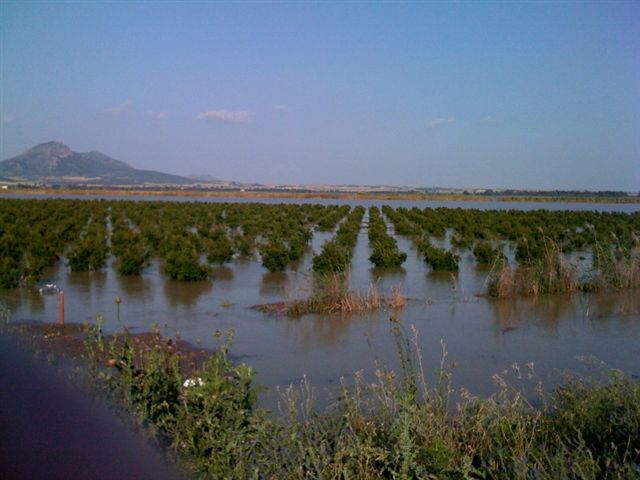 Resmi Bytmek in Tklaynz