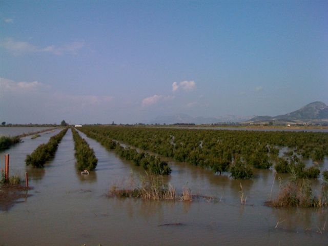 Resmi Bytmek in Tklaynz