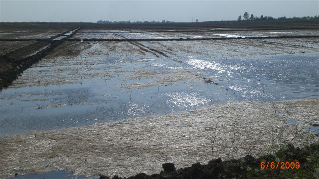 Resmi Bytmek in Tklaynz